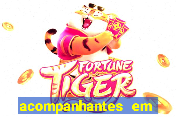 acompanhantes em porto nacional