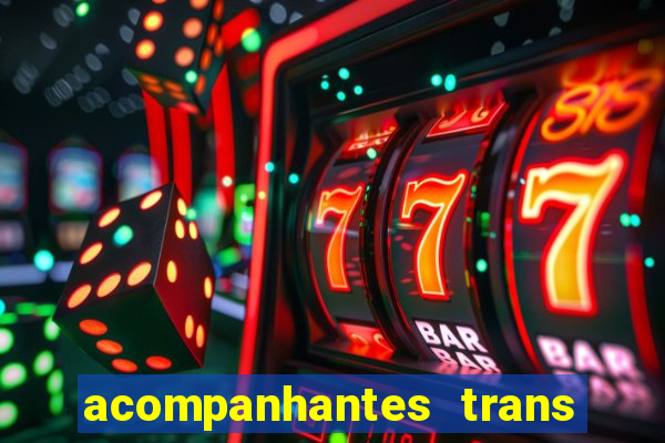 acompanhantes trans porto seguro