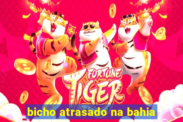 bicho atrasado na bahia