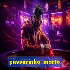 passarinho morto significado espiritual