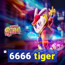 6666 tiger