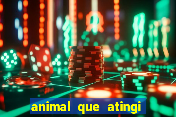 animal que atingi 230 decibeis