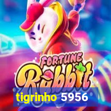 tigrinho 5956