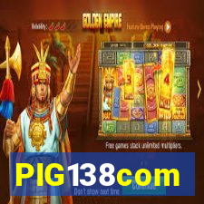 PIG138com