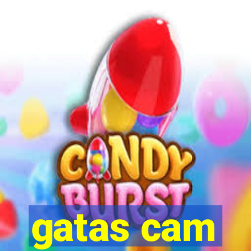 gatas cam
