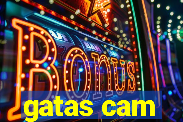 gatas cam