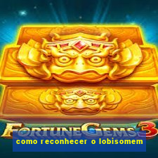 como reconhecer o lobisomem