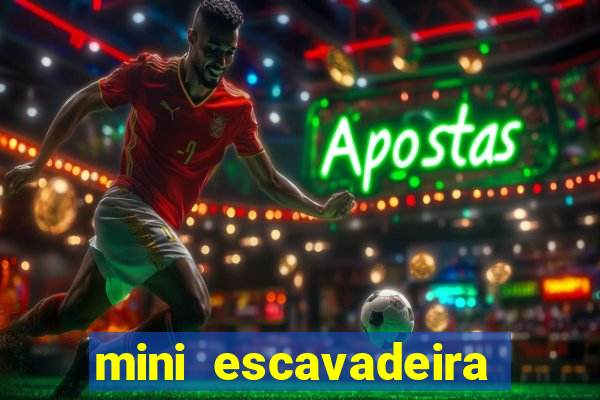 mini escavadeira aluguel rj