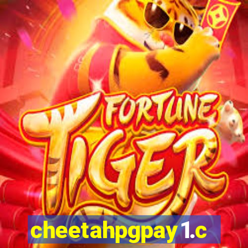 cheetahpgpay1.com