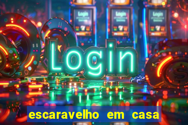 escaravelho em casa significado espiritual