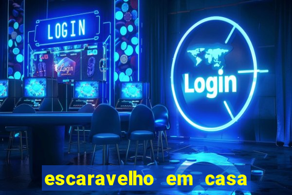 escaravelho em casa significado espiritual