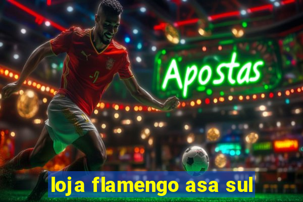 loja flamengo asa sul