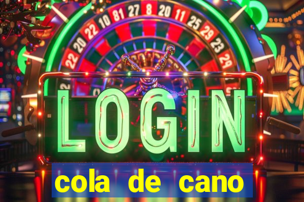 cola de cano quanto tempo para secar