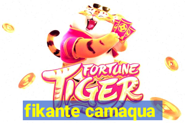 fikante camaqua