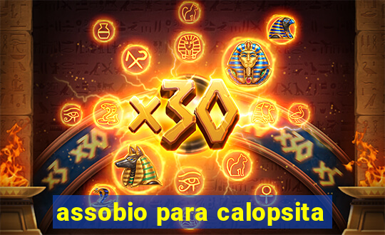 assobio para calopsita