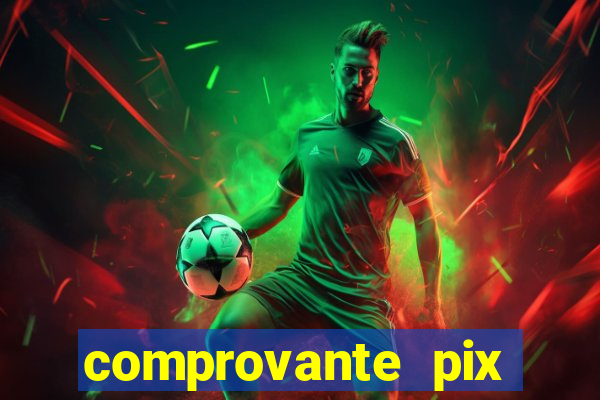 comprovante pix fake meme
