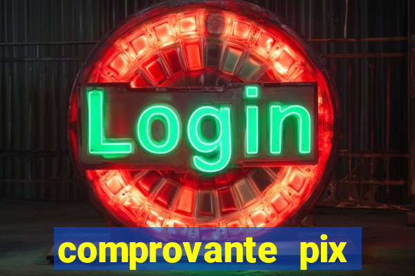 comprovante pix fake meme