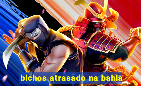 bichos atrasado na bahia