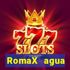 RomaX agua sanitaria fispq agua sanitaria romax