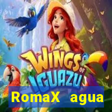 RomaX agua sanitaria fispq agua sanitaria romax