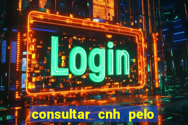 consultar cnh pelo cpf sp