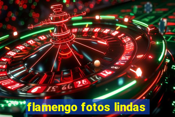 flamengo fotos lindas