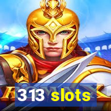 313 slots