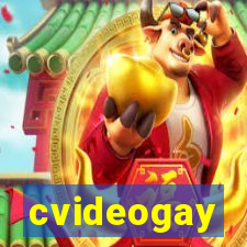 cvideogay