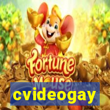 cvideogay