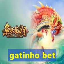 gatinho bet