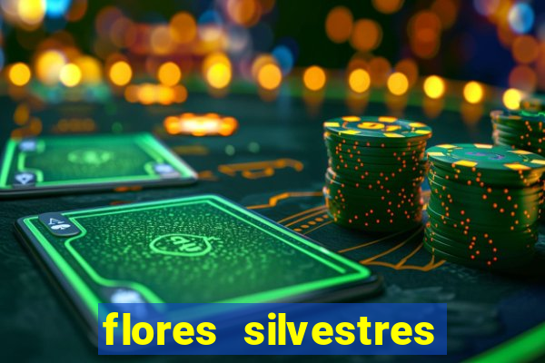 flores silvestres desbravadores desbravadores 25 flores silvestres e seus nomes