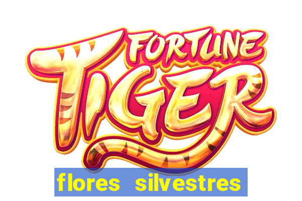 flores silvestres desbravadores desbravadores 25 flores silvestres e seus nomes