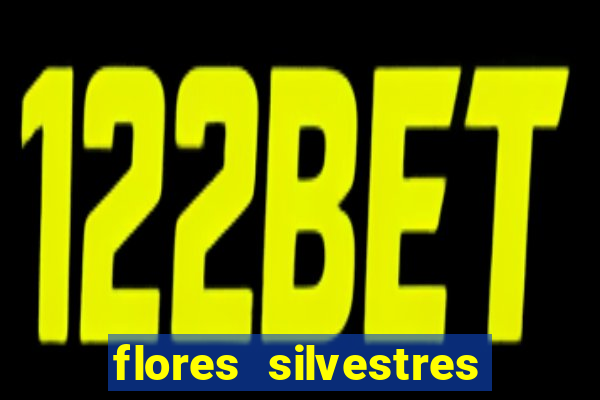 flores silvestres desbravadores desbravadores 25 flores silvestres e seus nomes