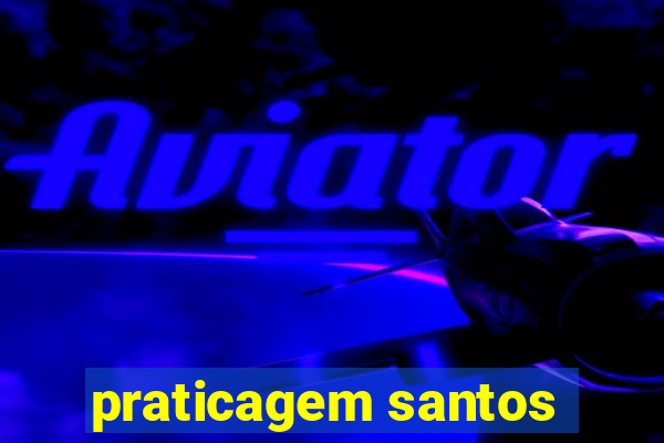 praticagem santos