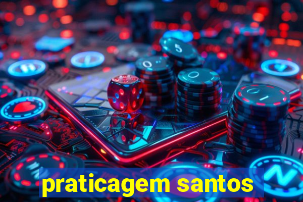 praticagem santos