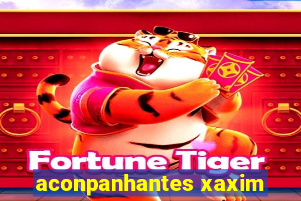 aconpanhantes xaxim