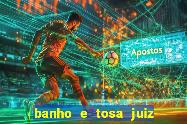 banho e tosa juiz de fora