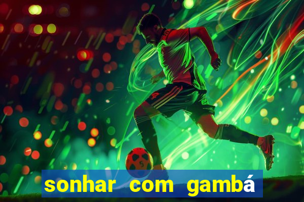 sonhar com gambá jogo do bicho