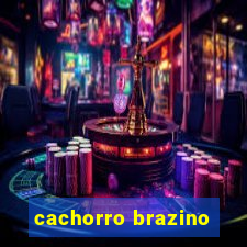 cachorro brazino