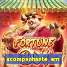 acompanhante em porto seguro