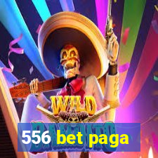556 bet paga