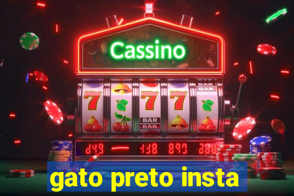gato preto insta