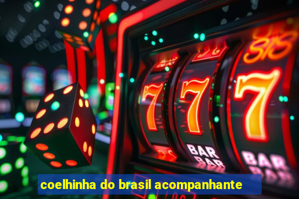 coelhinha do brasil acompanhante