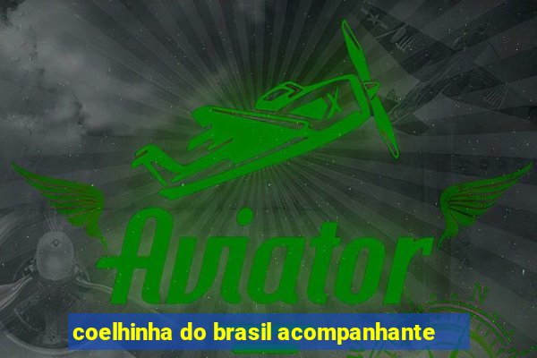coelhinha do brasil acompanhante