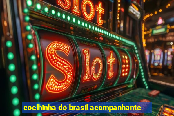 coelhinha do brasil acompanhante