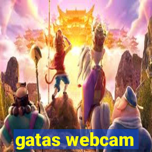 gatas webcam