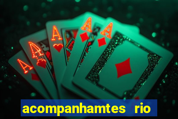 acompanhamtes rio de janeiro