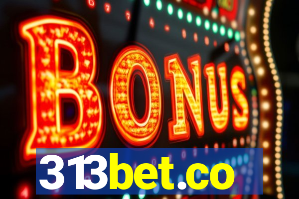 313bet.co