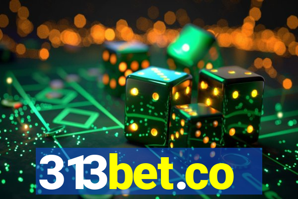 313bet.co