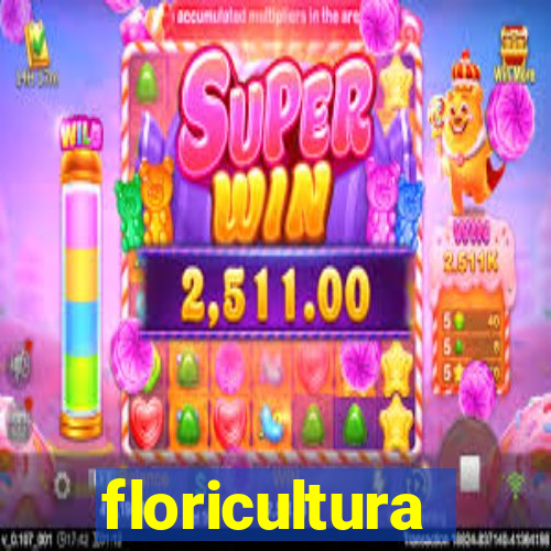 floricultura juazeiro bahia